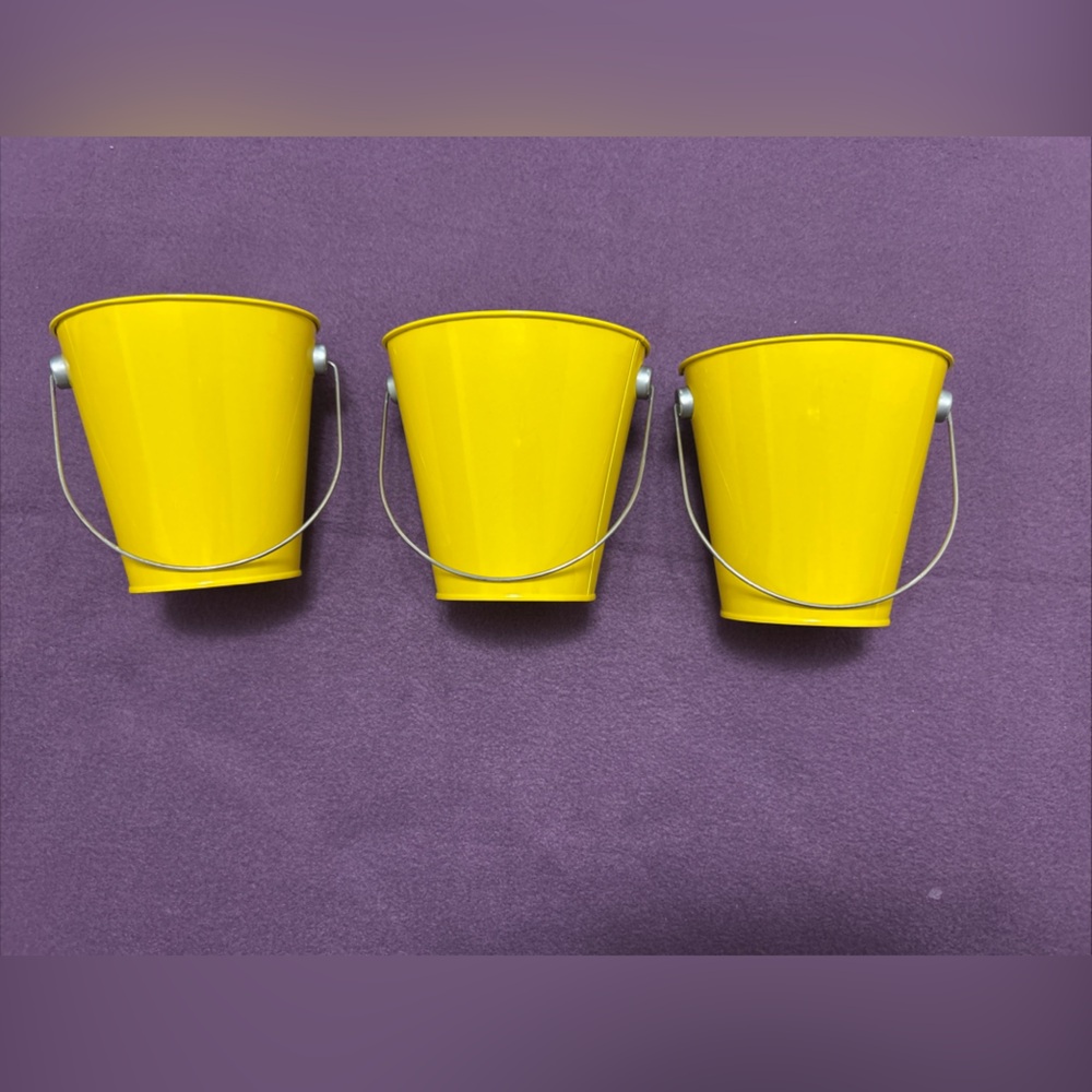 Tin Pail/Bucket Pen, Flower Or Plant Holder Multi-purpose Container Desk Balcony
